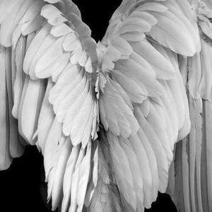 Meet your Posher, Patti